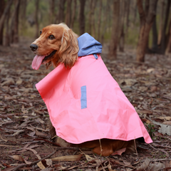 Drizzle Dog Raincoats Pack of 2