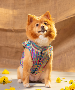Dog Kurta with Pocket Square Neelam