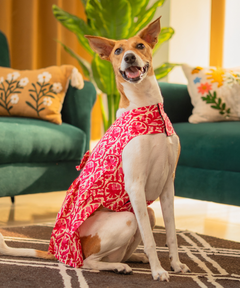 Rosé Garden Dress