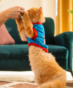 Captain America Cat T-shirt