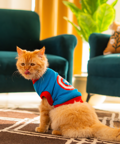 Captain America Cat T-shirt