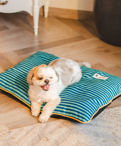 Duo Dreamer Pillow Bed (Blue)