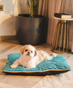 Duo Dreamer Pillow Bed (Blue)