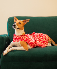 Rosé Garden Dress
