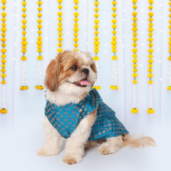 Dog Kurta with Bowtie Blue