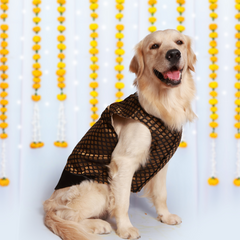 Dog Kurta with Pocket Square Black
