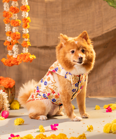 Embroidered Dog Kurta Beige