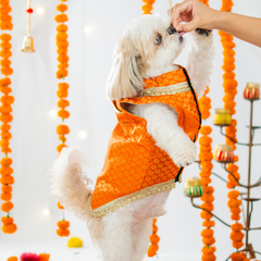 Pet Set Go Dog Kurta (Bright Orange)