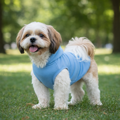 Pet Set Go Dog Hoodie (Pastel Blue)