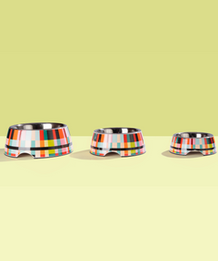 2-in-1 Melamine Dog Bowl Abstract