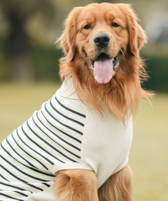Classic Stripe Knit Sweater