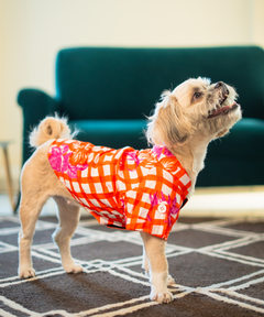 Gingham Garden Shirt