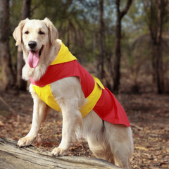 Splash-Proof Neon Blue- Dog Raincoat