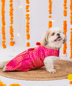 Festive Brocade Dog Dress (Pink)
