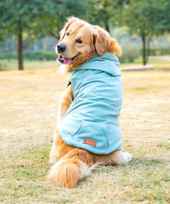 Teal Dog Hoodie