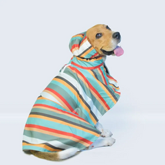 Dinosaur Printed Cape Style Dog Raincoat