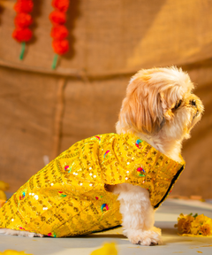 Dog Kurta Yellow
