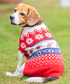 Red Snuggle Sweater