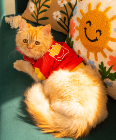 French Fries Cat T-shirt