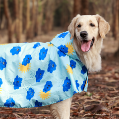 Dinosaur Printed Cape Style Dog Raincoat