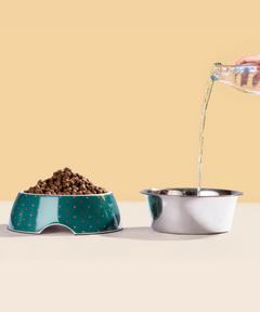 2-in-1 Melamine Dog Bowl Hearts