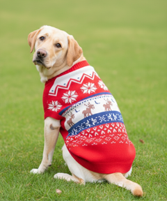 Red Snuggle Sweater