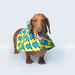 Dinosaur Printed Cape Style Dog Raincoat