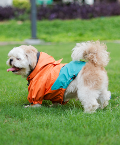 Full-Coverage Dog Raincoat: Orange-Blue