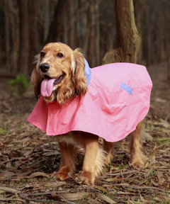 Cape Style Red Blue- Dog Raincoat