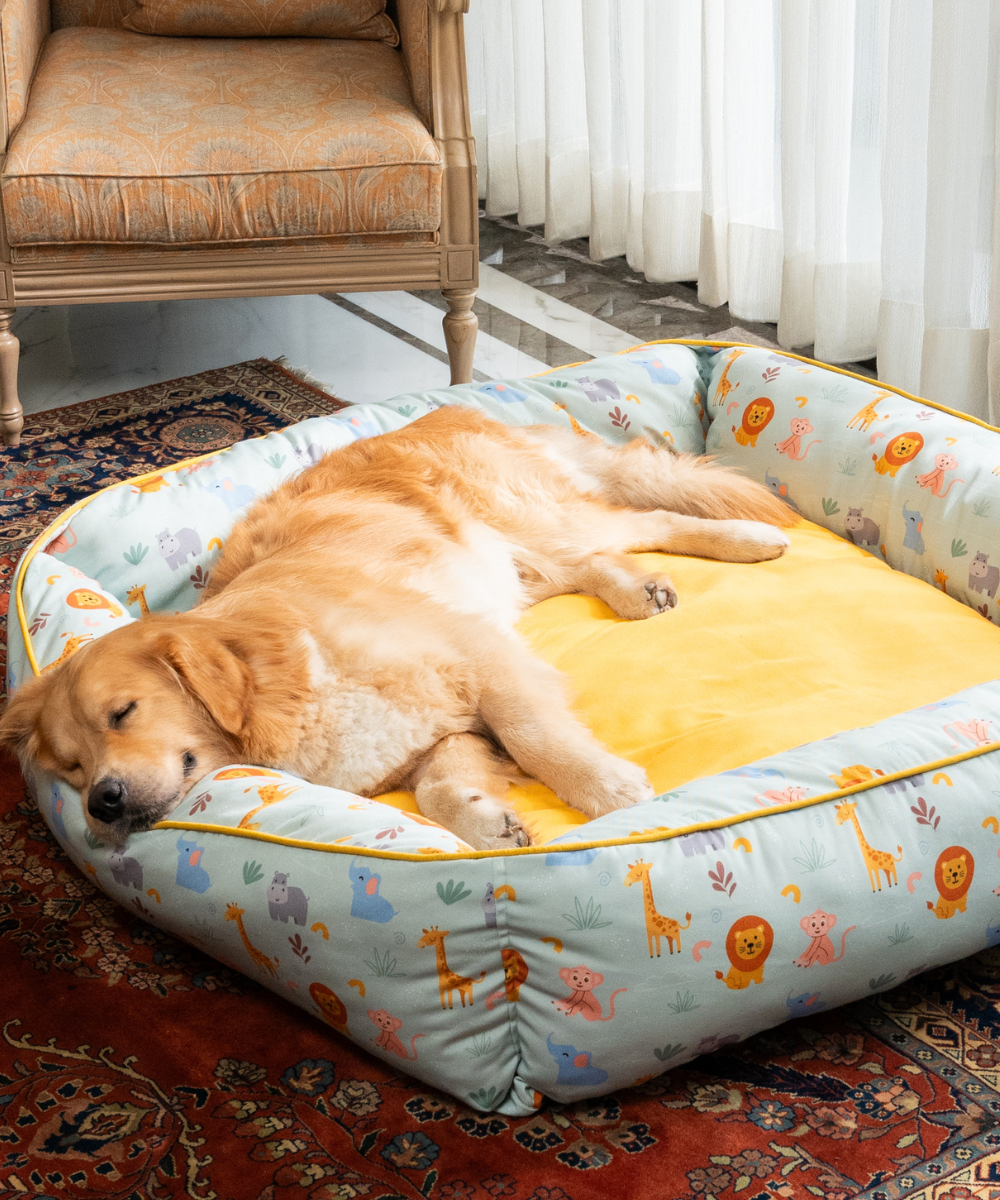 Golden Retriever Puppy Sleeping In Bed Puppy Sleeping In Bed 2025