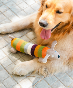 Long Plush Dog Toy