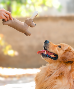 Cheerful Pup Plush Dog Toy