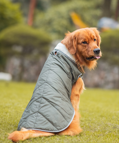 Dog Jacket