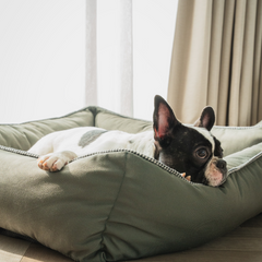 The Olive Lounger Dog Bed