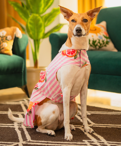 Citrus Bloom Dress