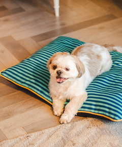 Duo Dreamer Pillow Bed (Blue)