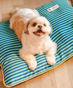 Duo Dreamer Pillow Bed (Blue)