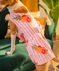Citrus Bloom Dress