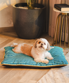 Duo Dreamer Pillow Bed (Blue)