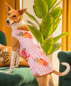 Citrus Bloom Dress