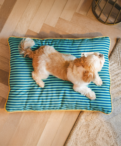 Duo Dreamer Pillow Bed (Blue)