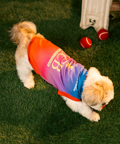 Loyal Chewers Bangalore IPL Dog Jersey