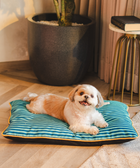 Duo Dreamer Pillow Bed (Blue)