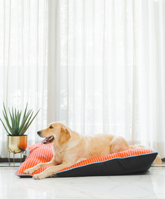Duo Dreamer Pillow Bed (Orange)
