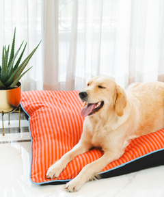 Duo Dreamer Pillow Bed (Orange)