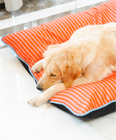 Duo Dreamer Pillow Bed (Orange)
