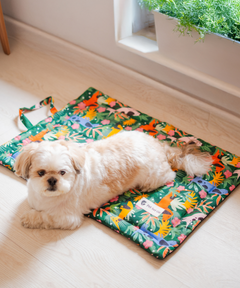 Pawradise Pet Mat