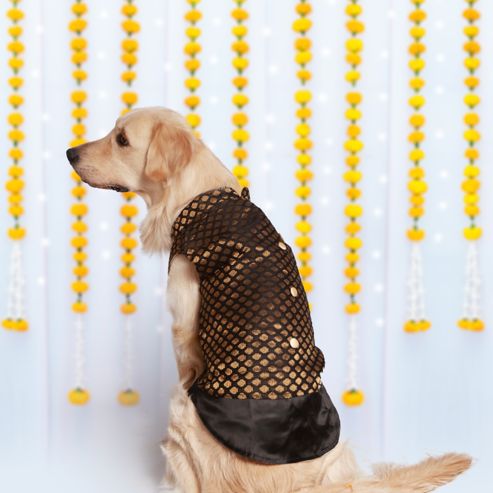 Dog Kurta with Pocket Square Black Pet Set Go Dog Kurta with Pocket Square Black Pet Set Go
