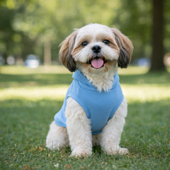 Pet Set Go Dog Hoodie (Pastel Blue)