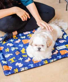 Woofy Wonderland Pet Mat